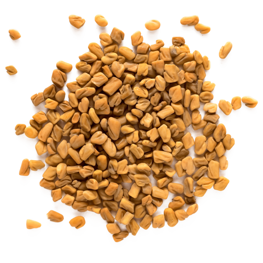 Fenugreek
