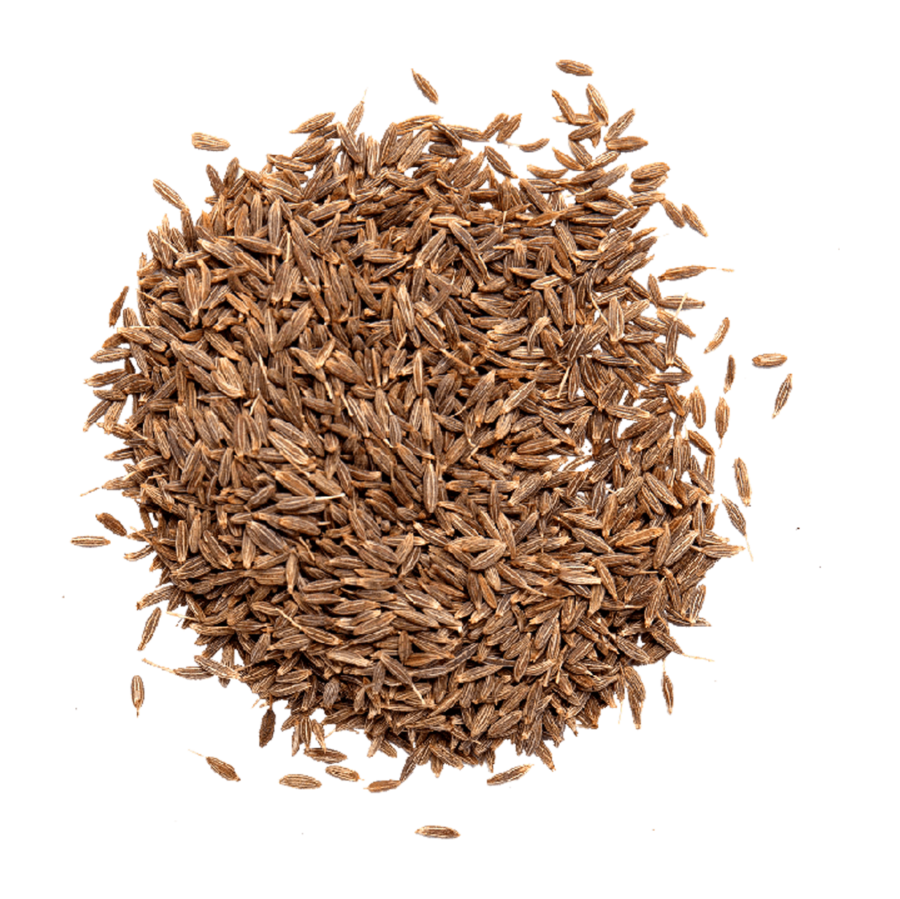 Cumin Whole SS Indian