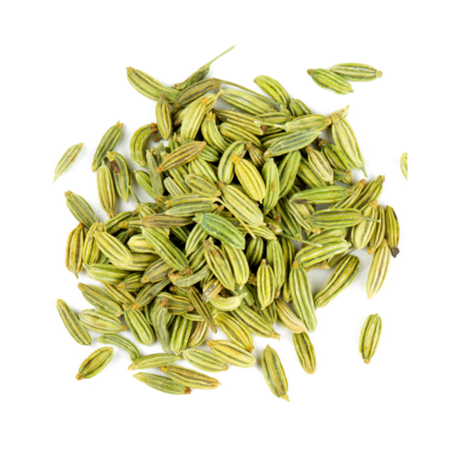 Fennel Whole SS