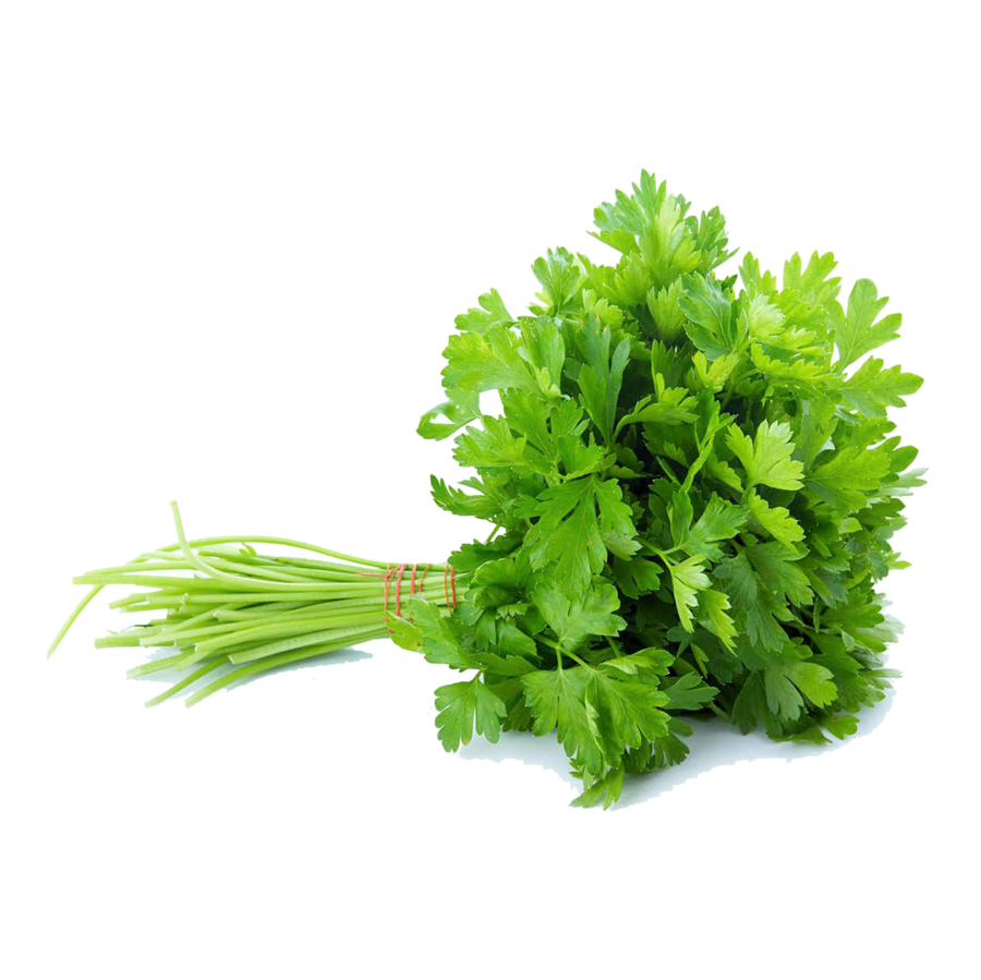 Parsley Flat leaf
