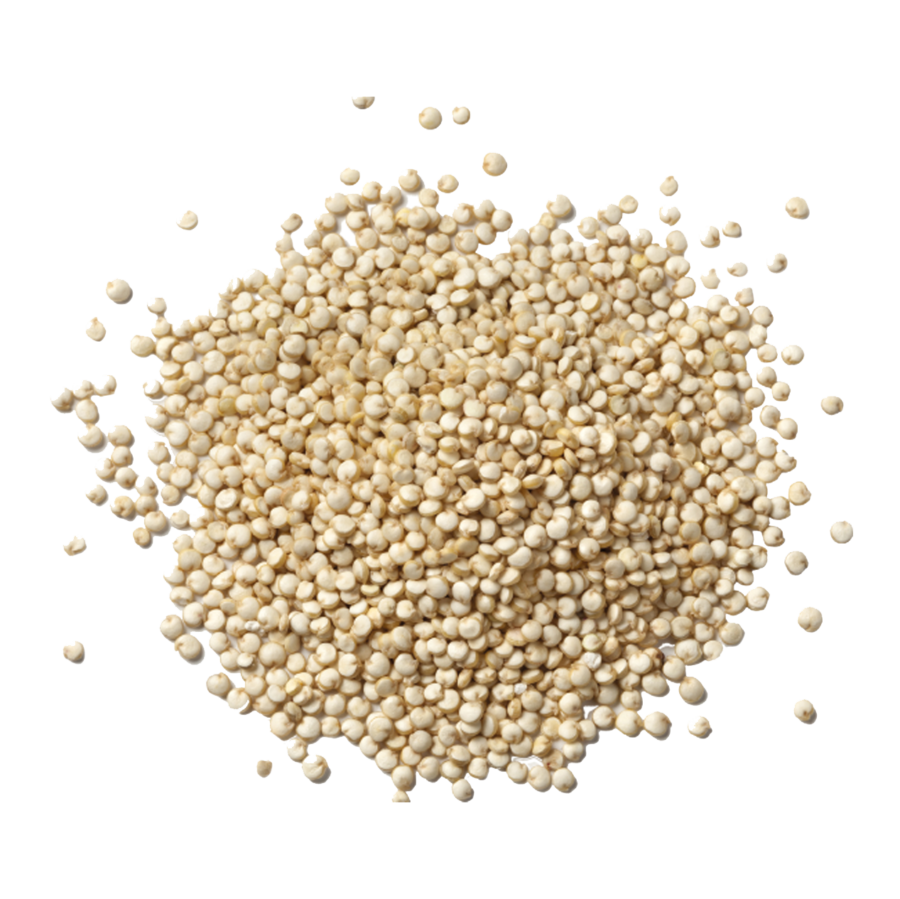 Quinoa white